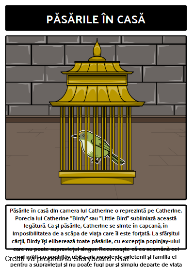 Catherine, Numită Simbolul Birdy