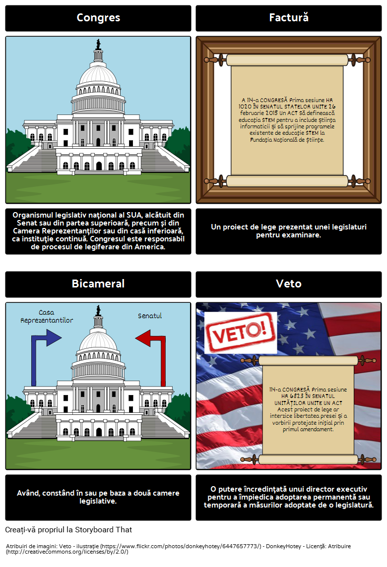 Legislativă Branch Vocabular