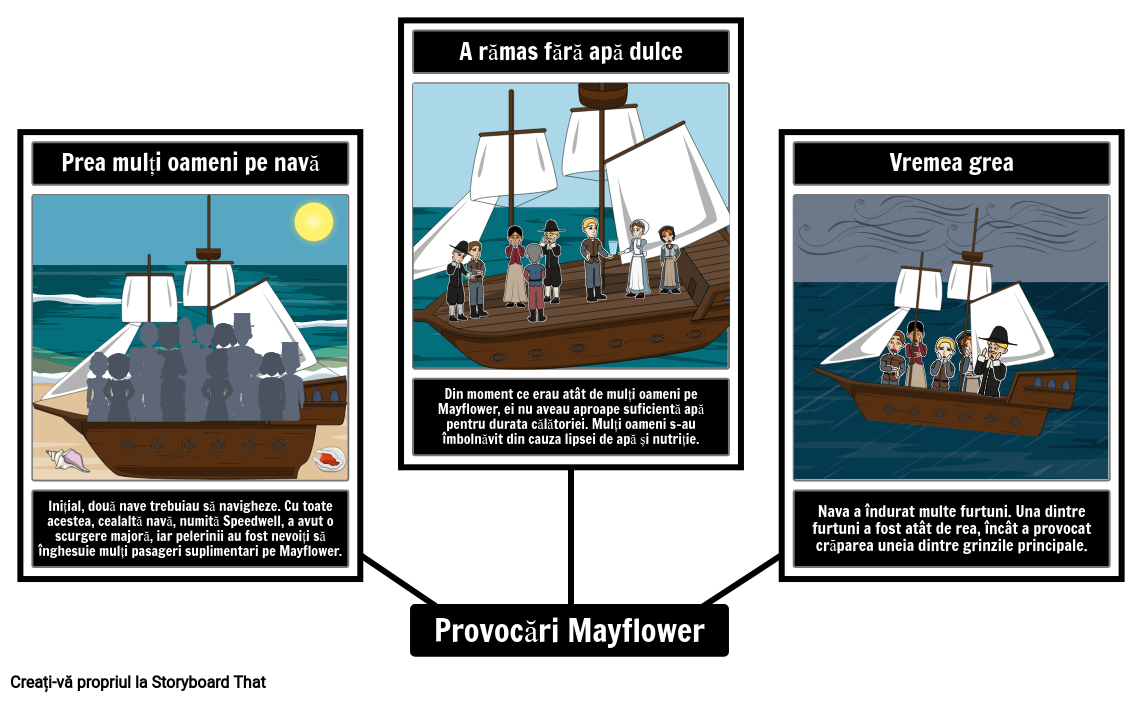Mayflower Provocă Harta Păianjenului