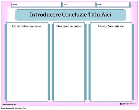 Portret Intro/Conlus Culoare peisaj 4