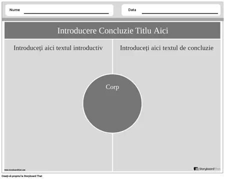 Portret intro/Conlus Peisaj Alb-negru 3