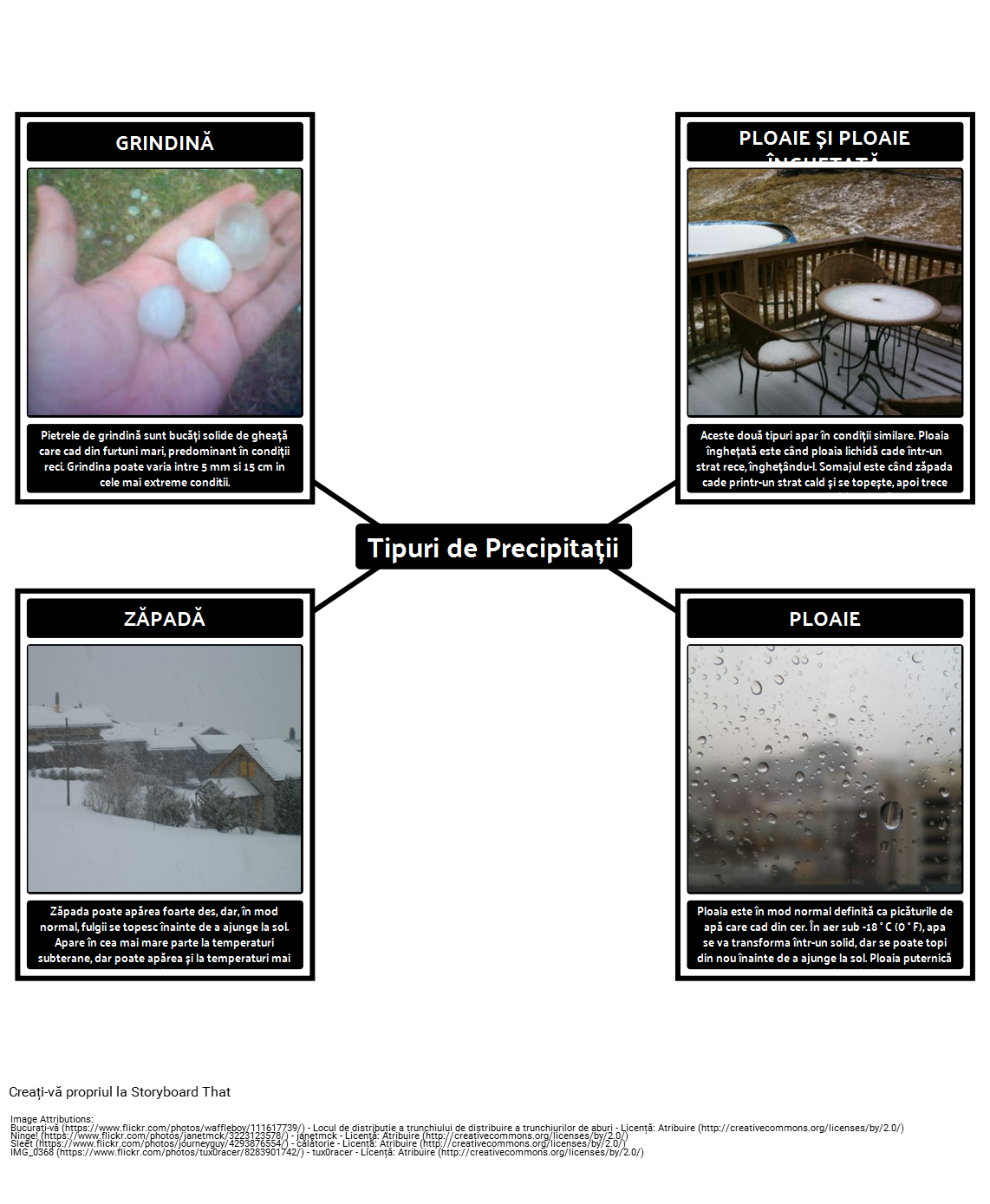 Tipuri de Precipitații