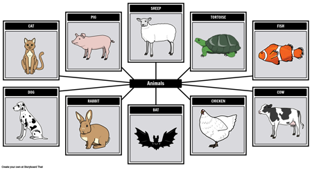Визуальный Словарь: Животные