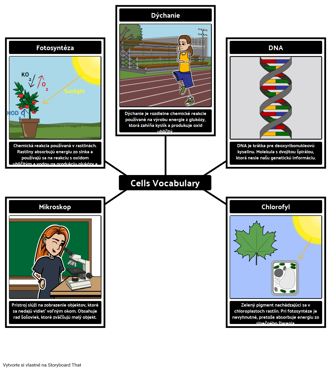 cells-pr-klad-slovnej-z-soby-storyboard-taraf-ndan-sk-examples