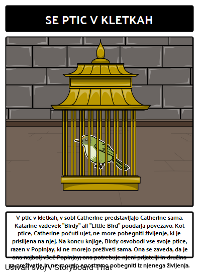 Catherine, Called Birdy Simbolika