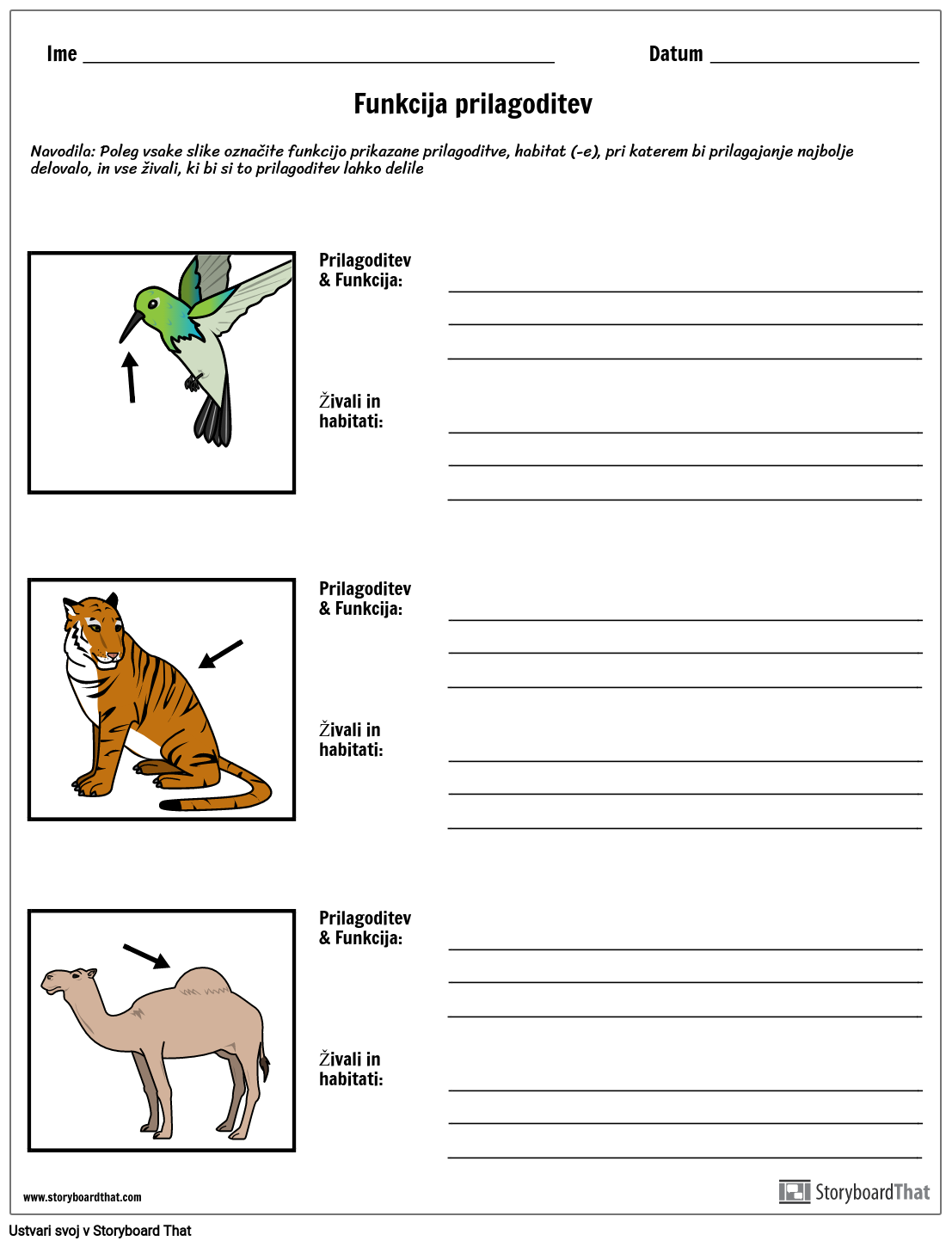 Free Printable Science Worksheets Adaptation Animals