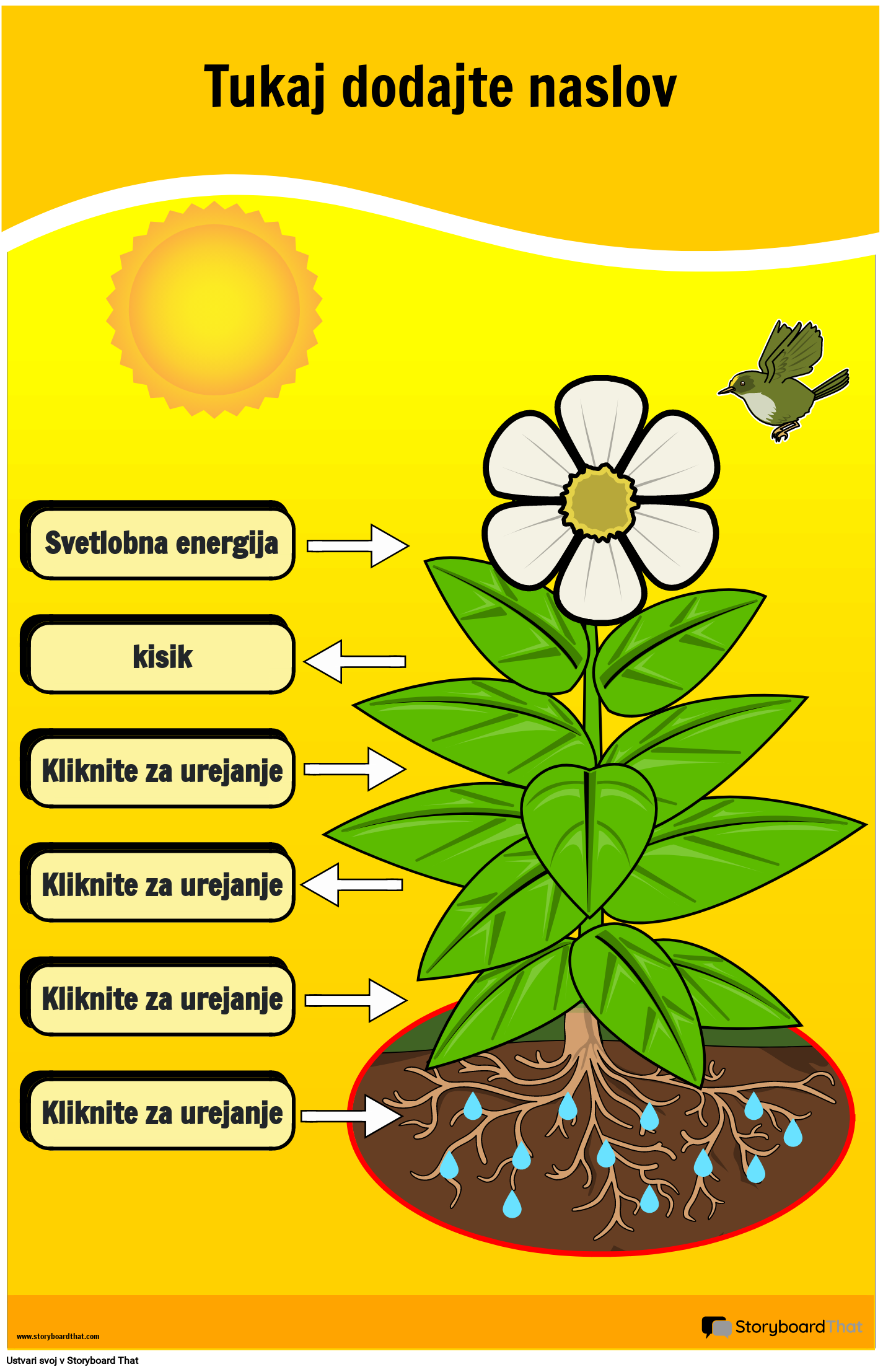 Plakat z Diagramom Fotosinteze