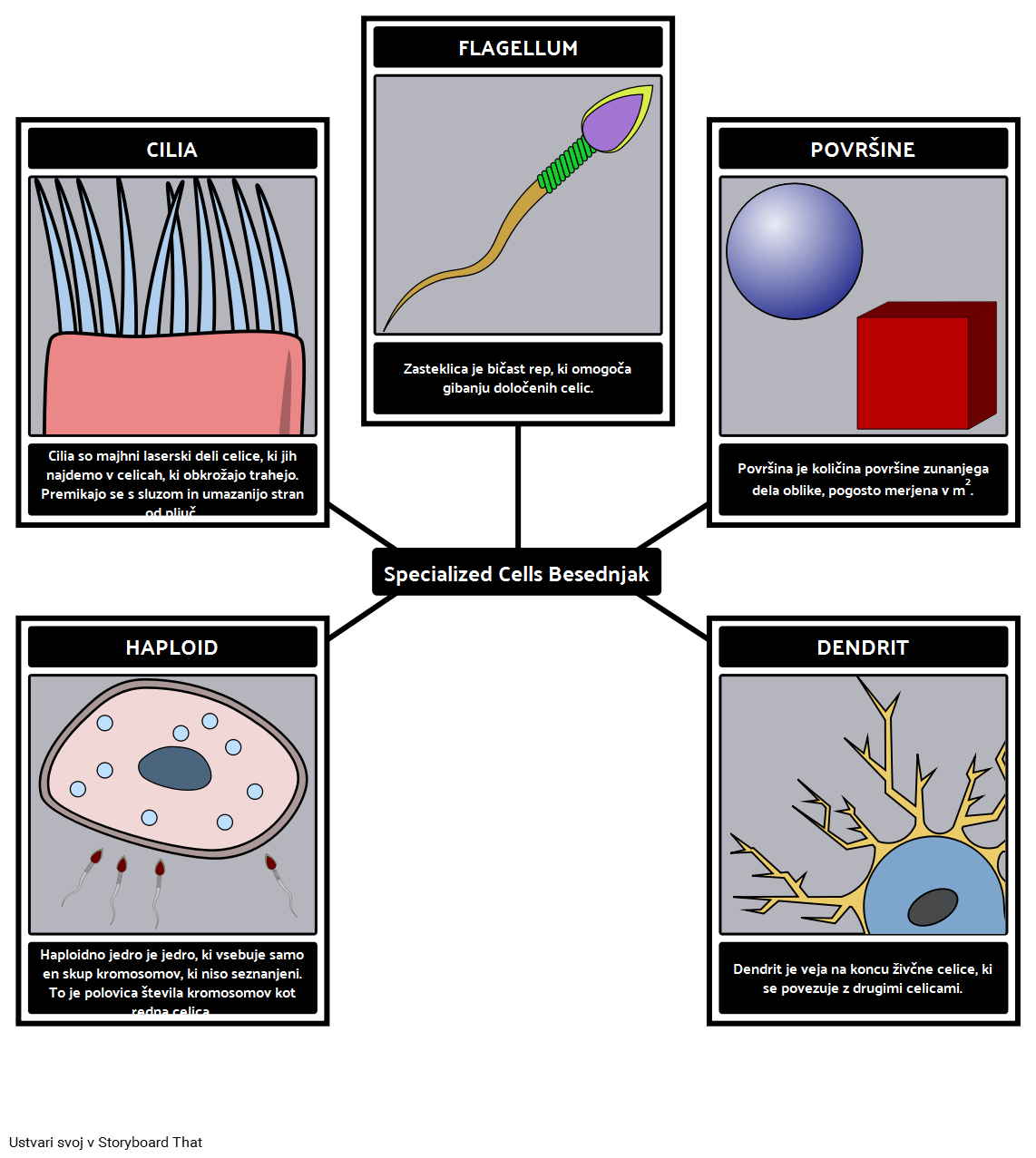 Specialized Cells Primer Besednjaka 
