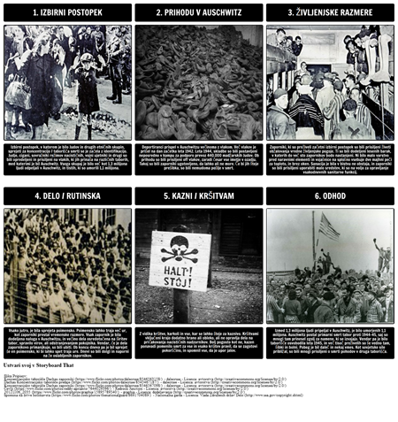 Zgodovina Holokavsta - Življenje v Auschwitzu