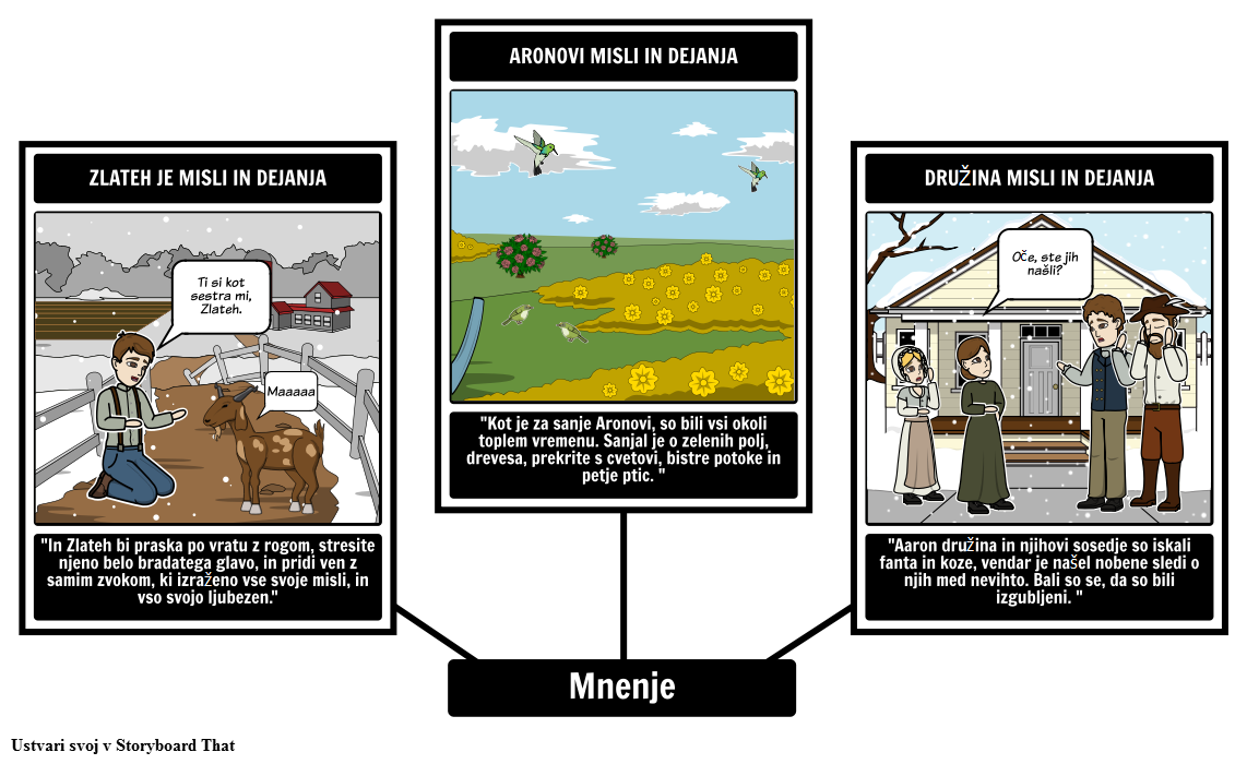 Zlateh Koza Point Of View Storyboard Von Sl examples