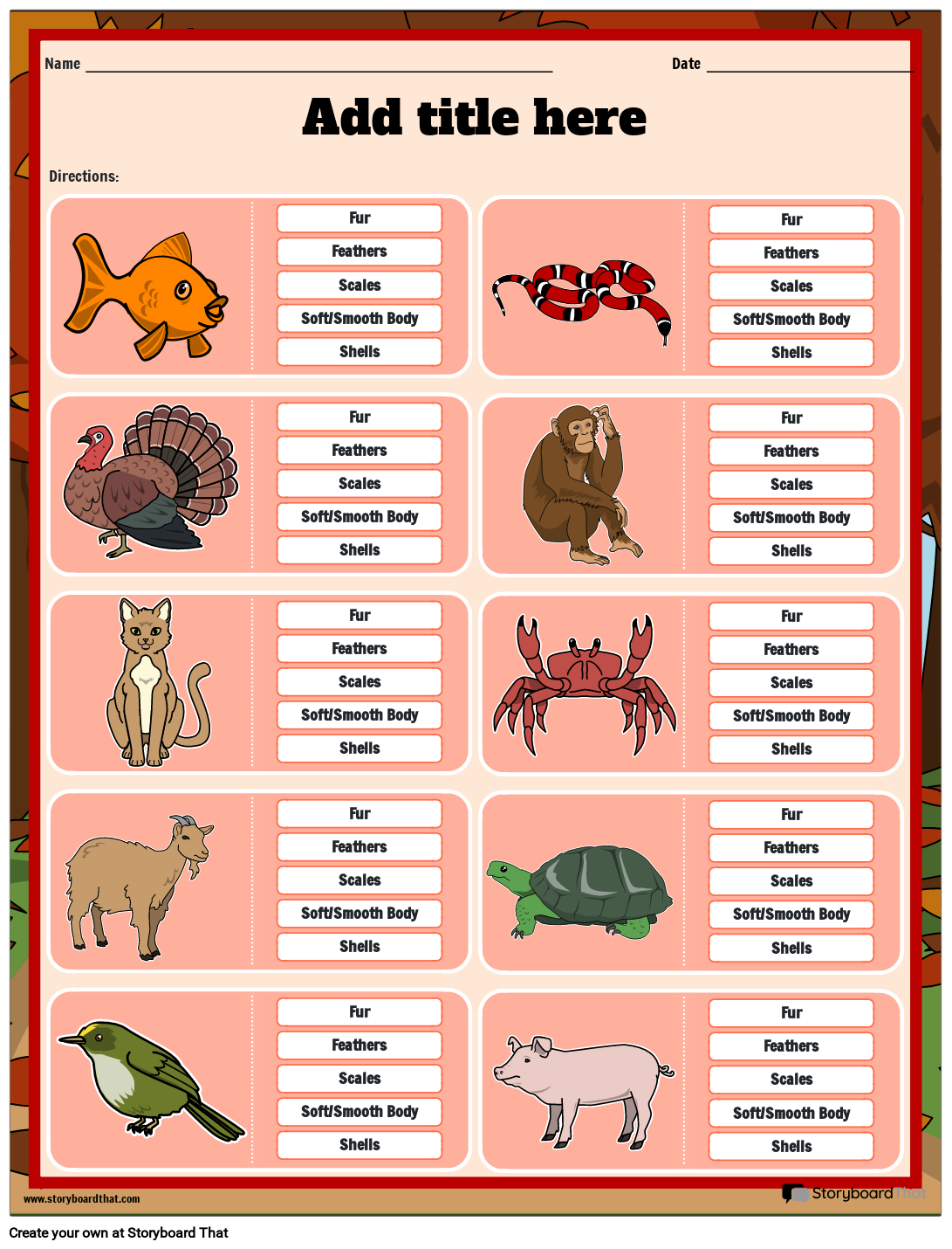 Identifying Animals Coverings Worksheet
