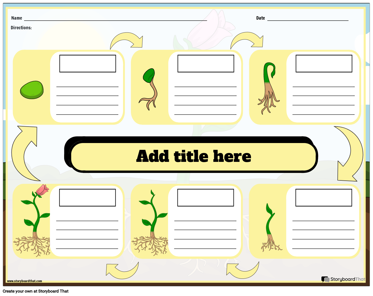 Life Cycle of a Plant Worksheet