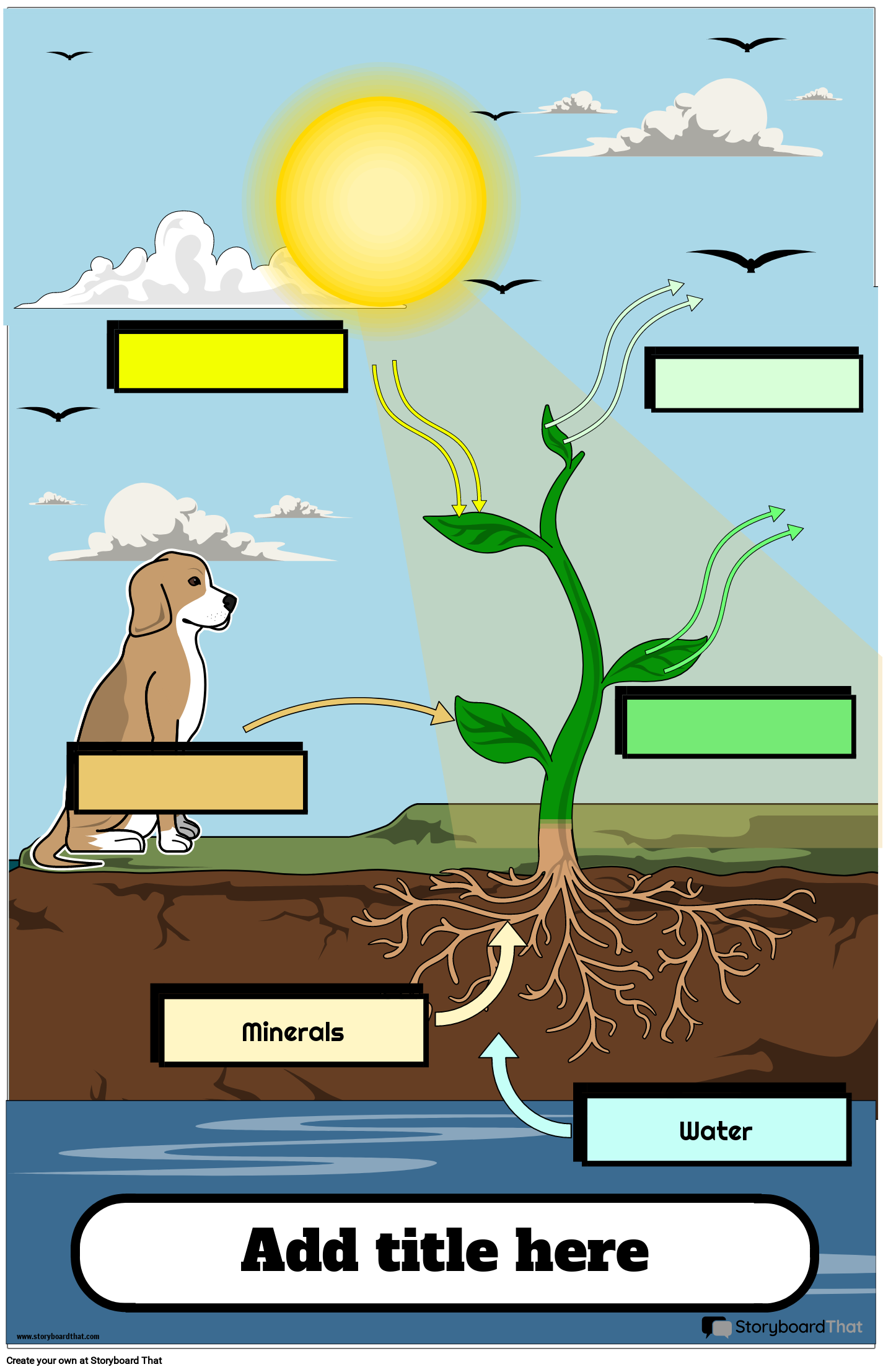 Poster Illustrating Key Components of Photosynthetic Processes