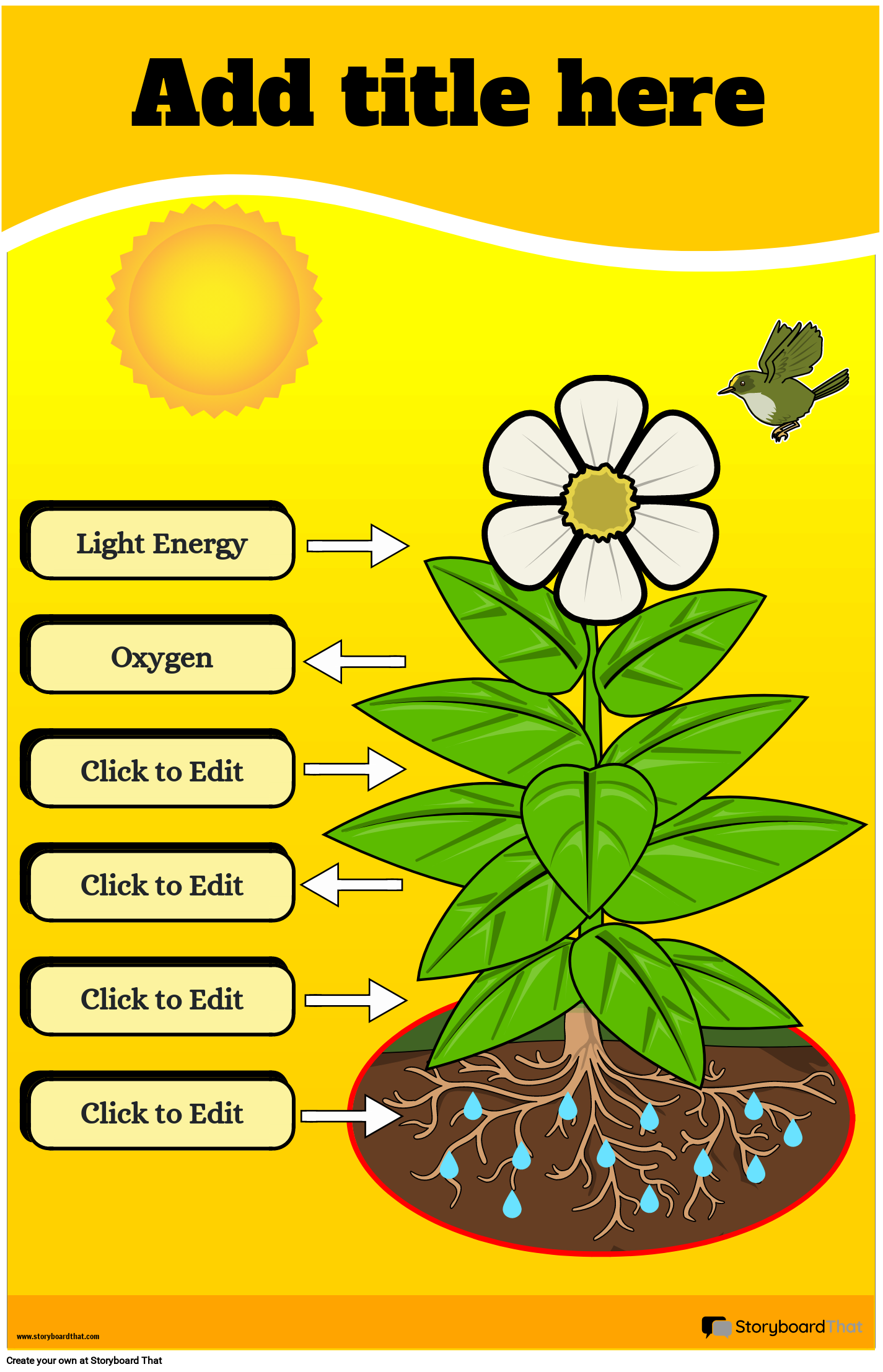 Photosynthetic Cycle Diagram