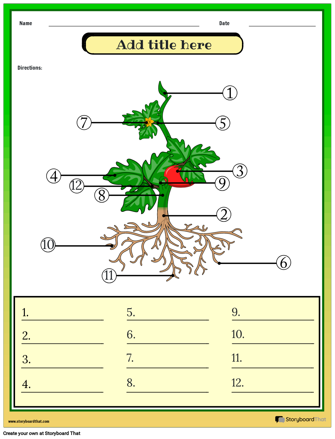 Plant's Anatomy Worksheet (Advanced)
