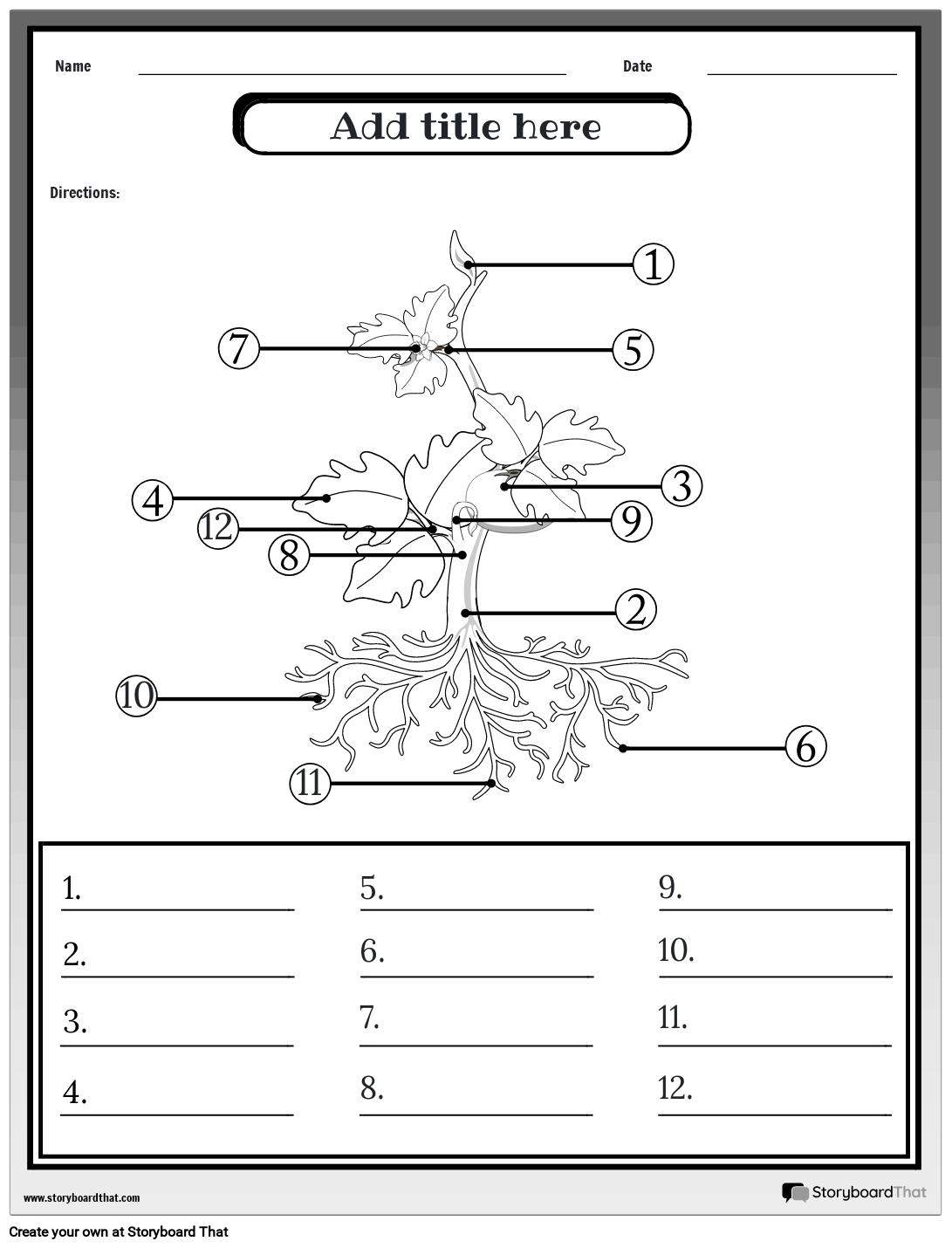 Plant's Anatomy Worksheet (Advanced)