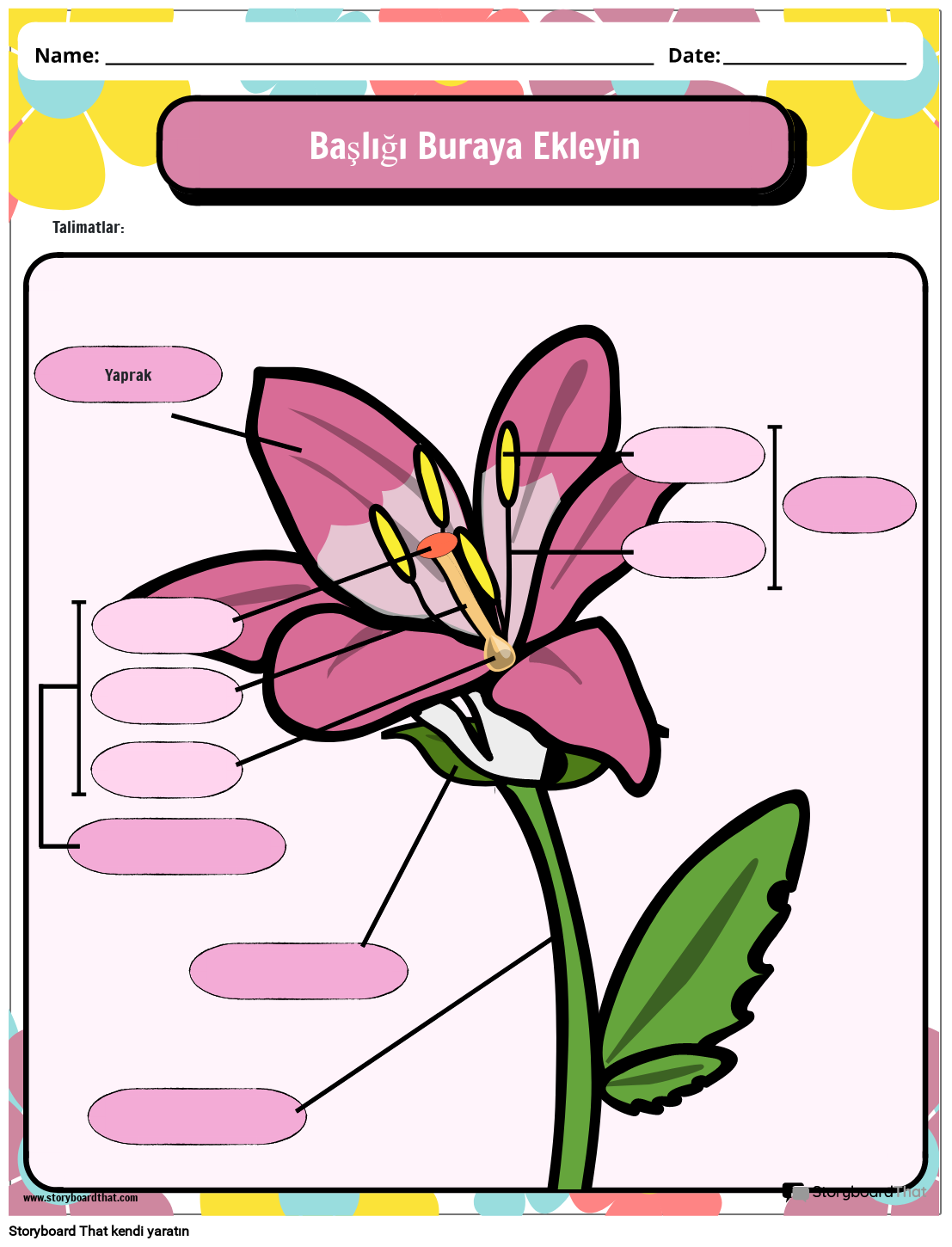 Çiçeğin Parçaları (Orta Seviye) Çalışma Sayfası
