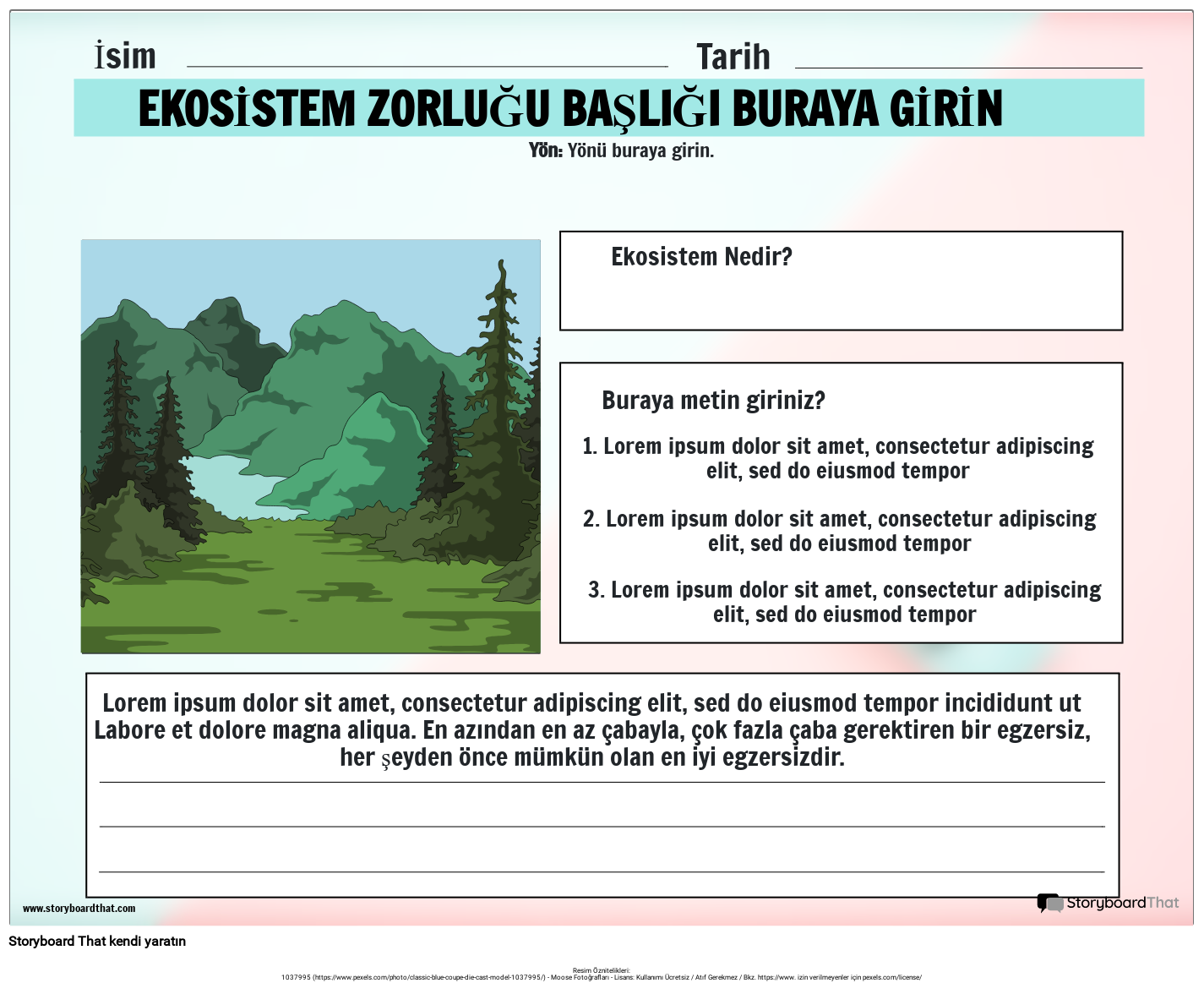 Ekosistem Mücadelesi Kartı Çalışma Sayfası