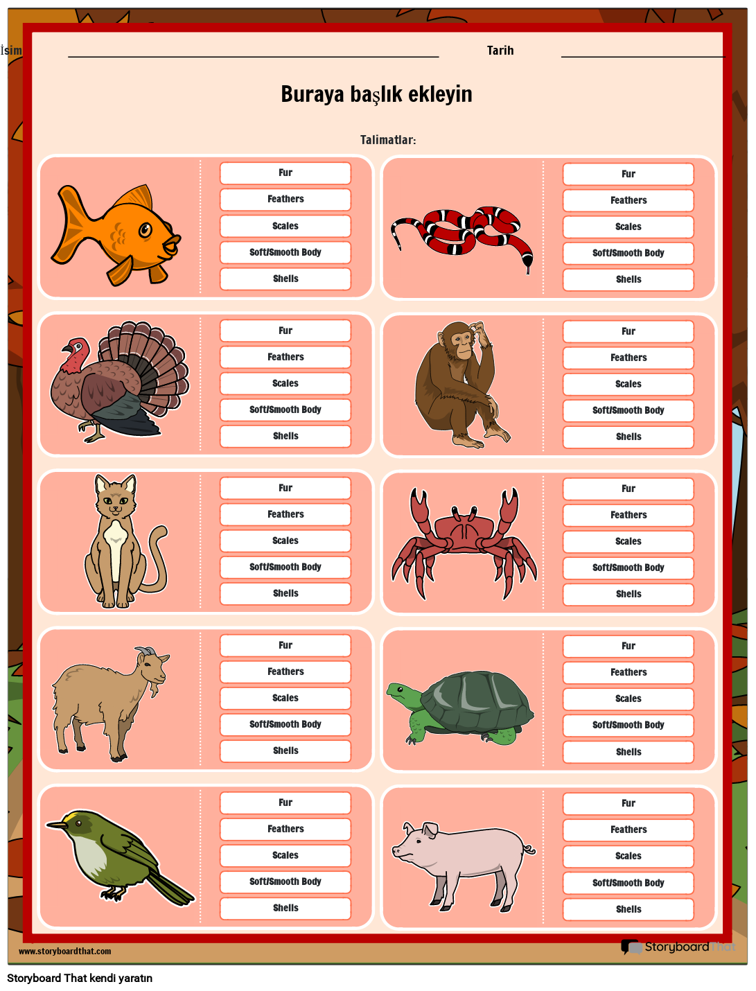 Hayvan Kaplamalarını Tanımlama Çalışma Sayfası