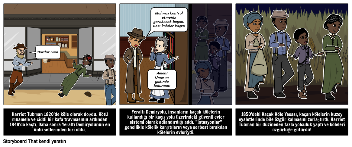Kara Tarih Ayı - Harriet Tubman