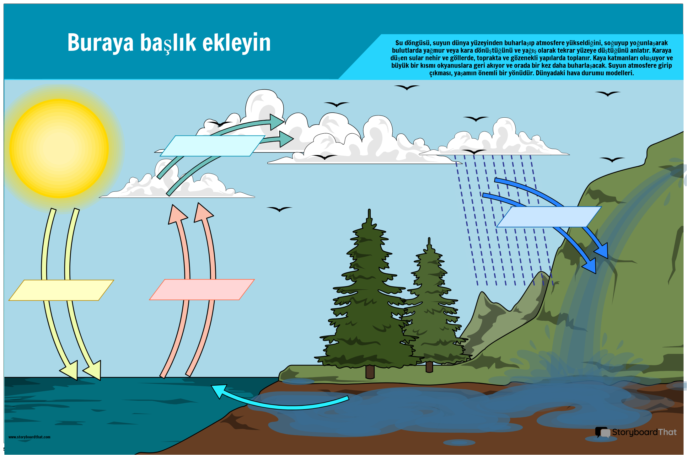 Su Döngüsü Bilim Posteri